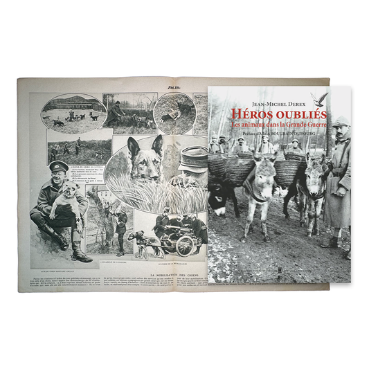 Un homme et son chien & Héros oubliés - Les animaux dans la Grande Guerre