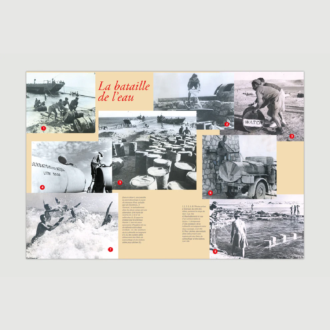 Les Ailes de la liberté - Editions Pierre de Taillac