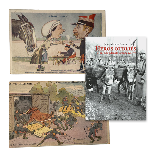 Cartes comiques & Héros oubliés - Les animaux dans la Grande Guerre
