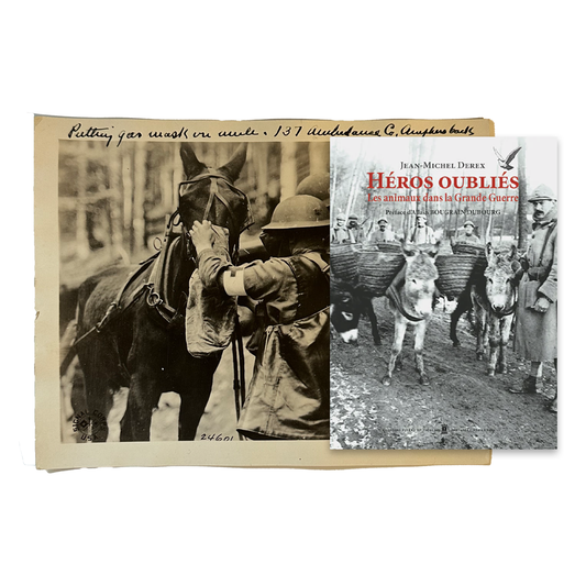 Cheval masqué & Héros oubliés - Les animaux dans la Grande Guerre
