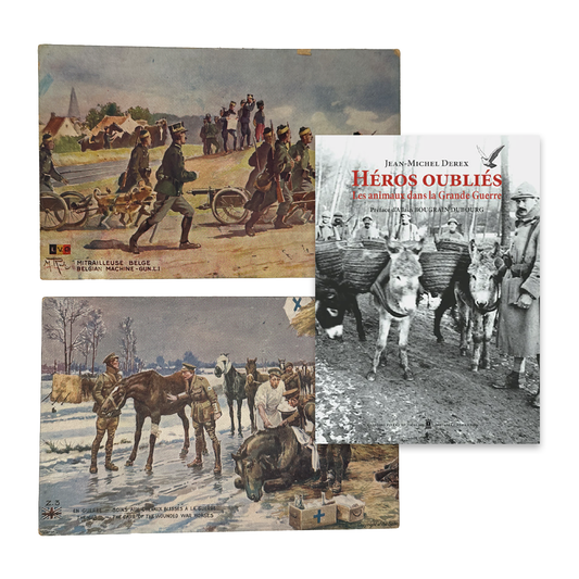 Chevaux & Héros oubliés - Les animaux dans la Grande Guerre