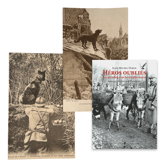 Chiens & Héros oubliés - Les animaux dans la Grande Guerre