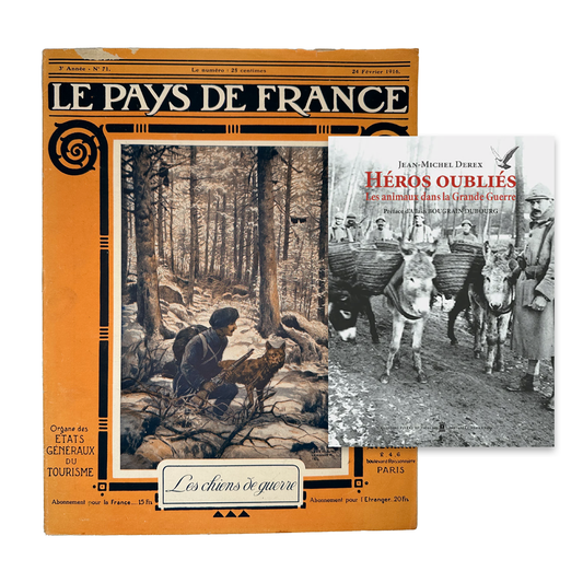 Chiens de guerre & Héros oubliés - Les animaux dans la Grande Guerre