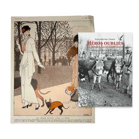 Les chiens et la mode & Héros oubliés - Les animaux dans la Grande Guerre