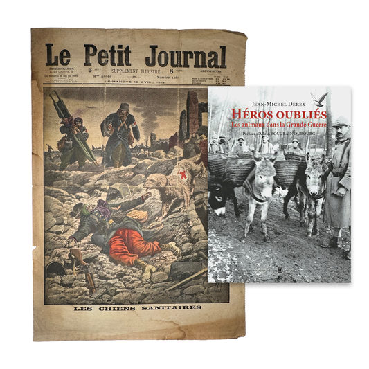 Chiens sanitaires & Héros oubliés - Les animaux dans la Grande Guerre