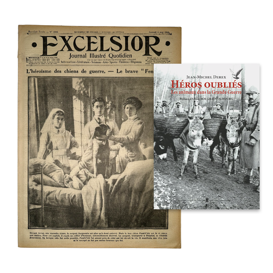Excelsior & Héros oubliés - Les animaux dans la Grande Guerre