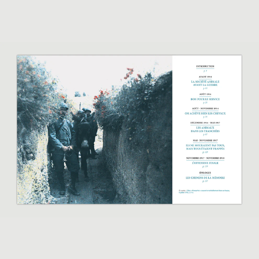 Héros oubliés - Les animaux dans la Grande Guerre - Editions Pierre de Taillac