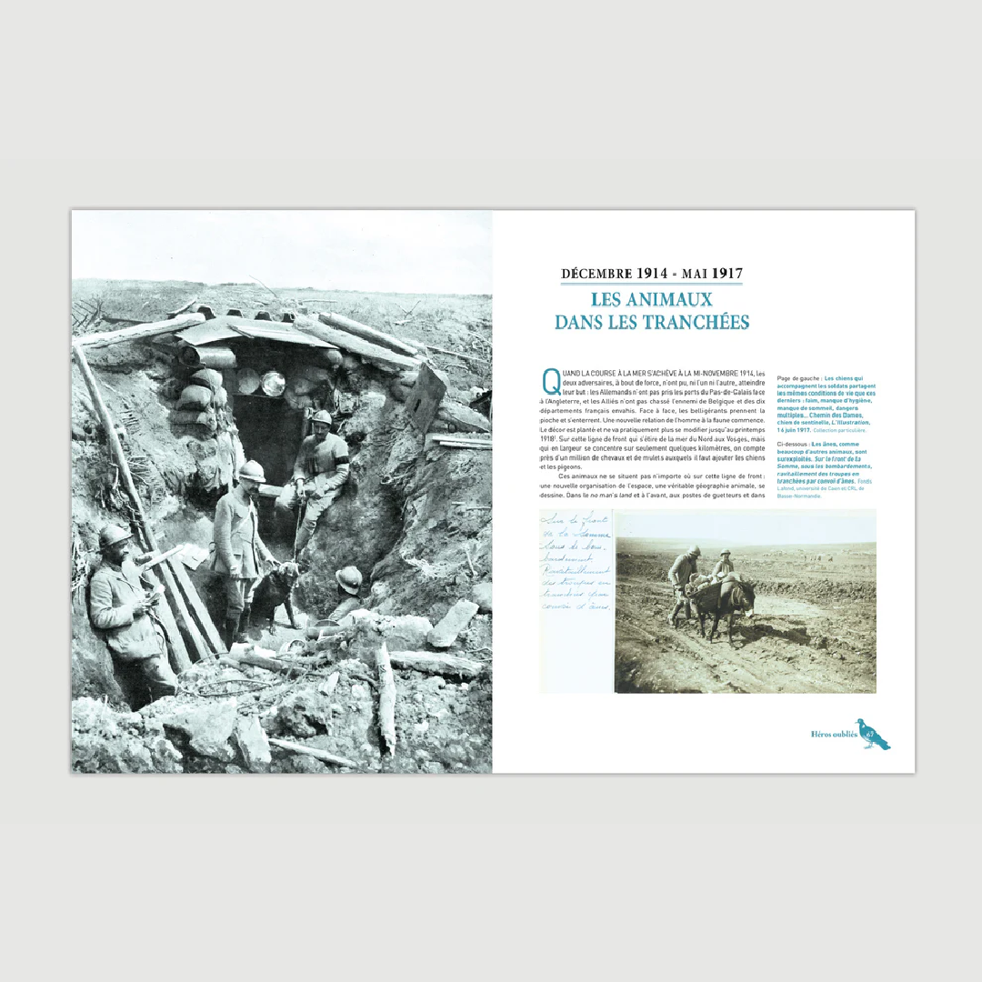 Héros oubliés - Les animaux dans la Grande Guerre - Editions Pierre de Taillac