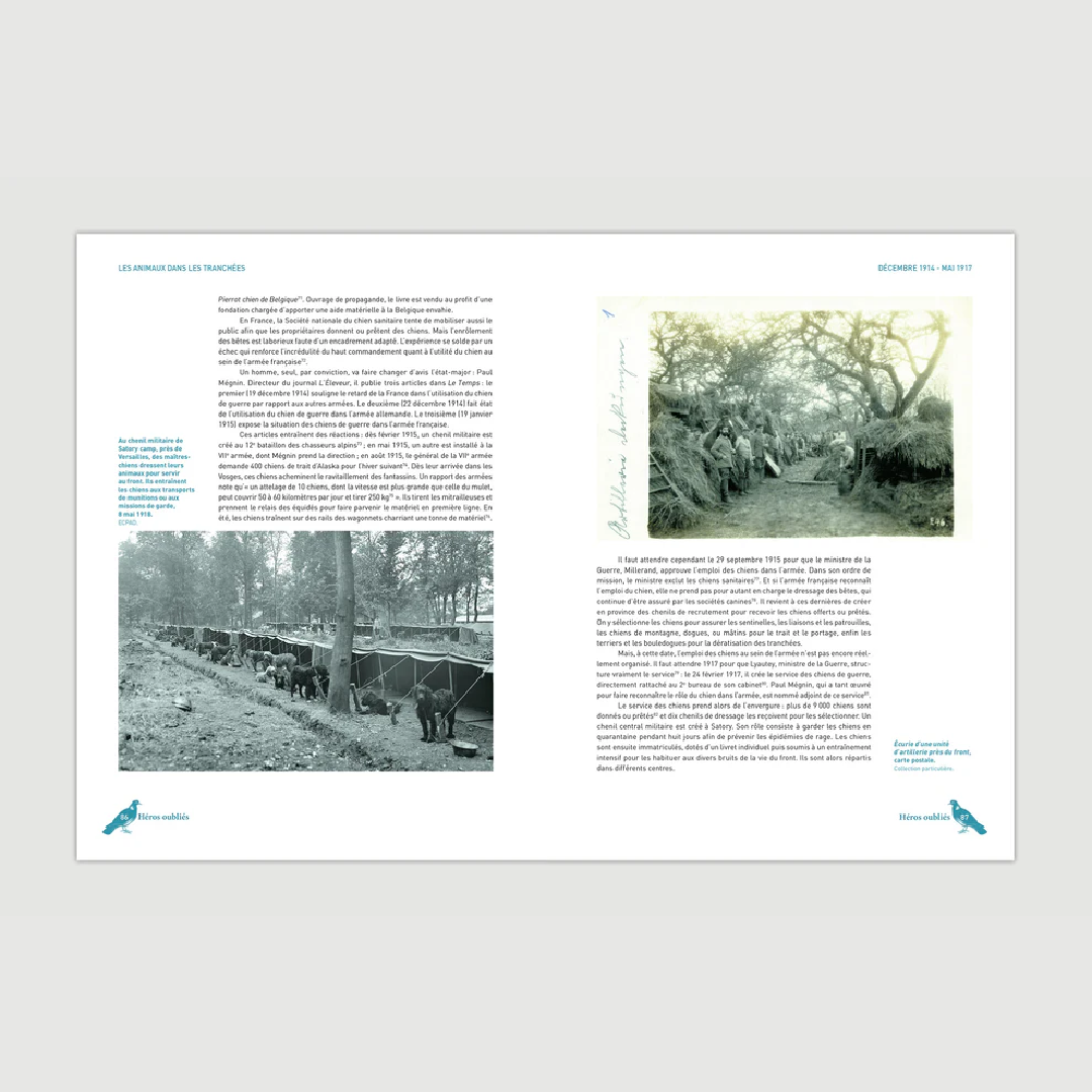 Héros oubliés - Les animaux dans la Grande Guerre - Editions Pierre de Taillac