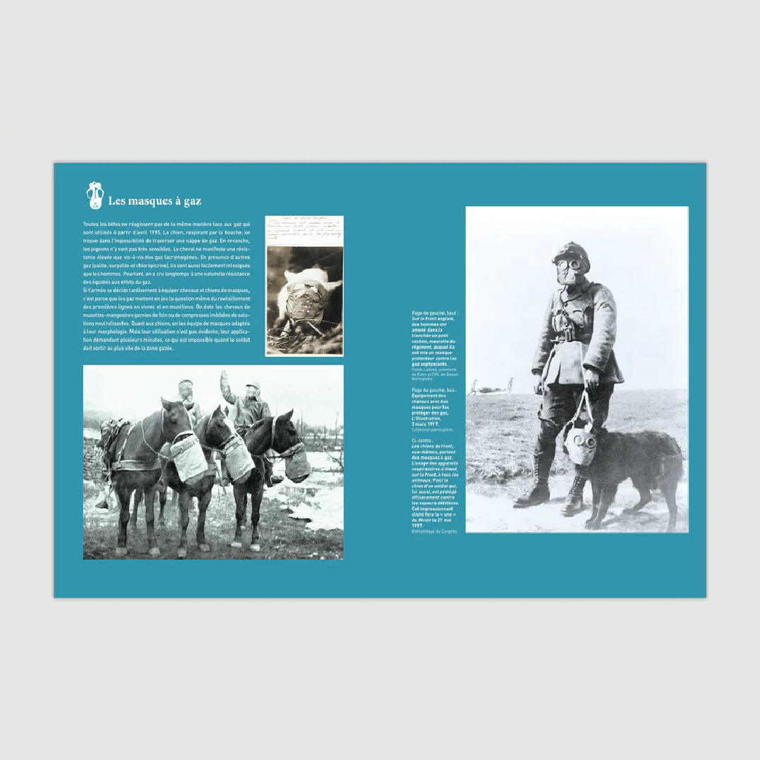 Héros oubliés - Les animaux dans la Grande Guerre - Editions Pierre de Taillac