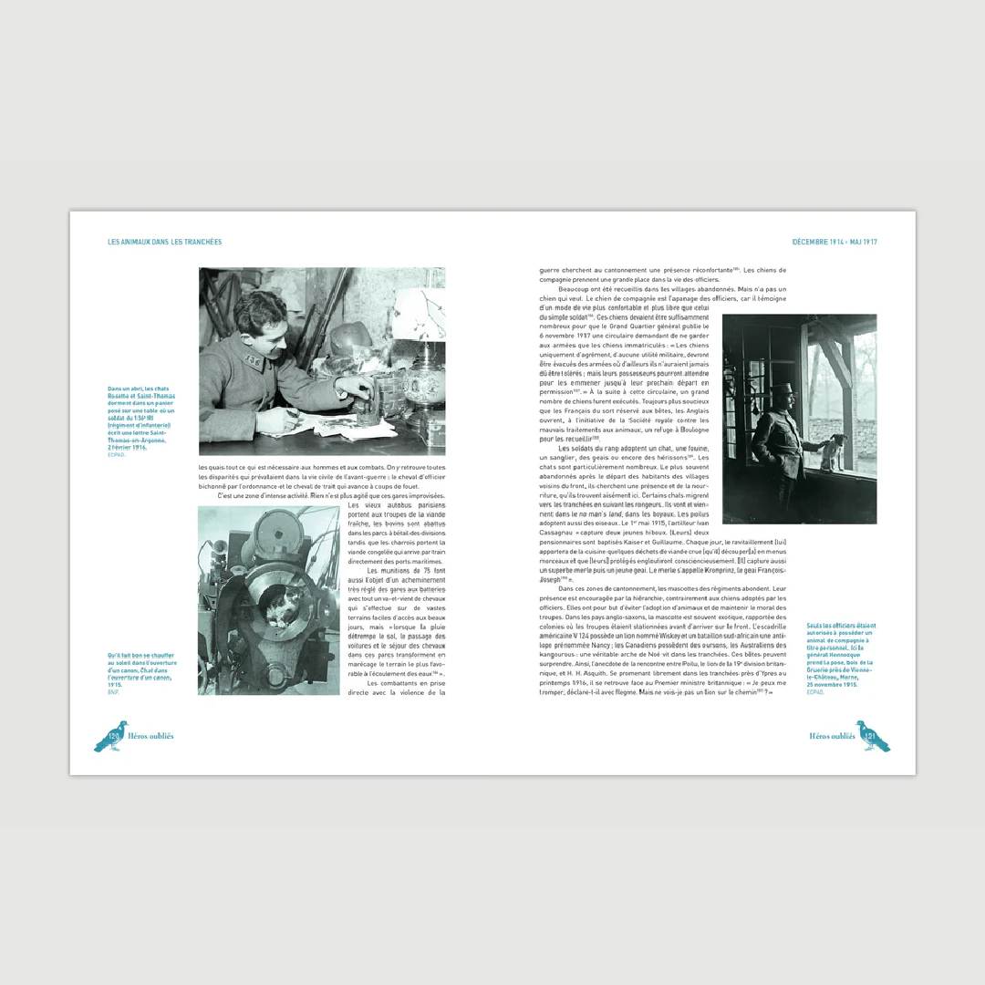 Héros oubliés - Les animaux dans la Grande Guerre - Editions Pierre de Taillac