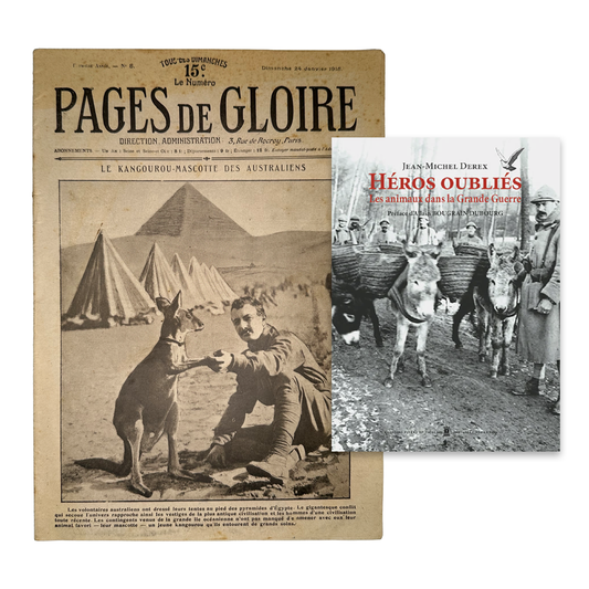 Mascotte Kangourou & Héros oubliés - Les animaux dans la Grande Guerre