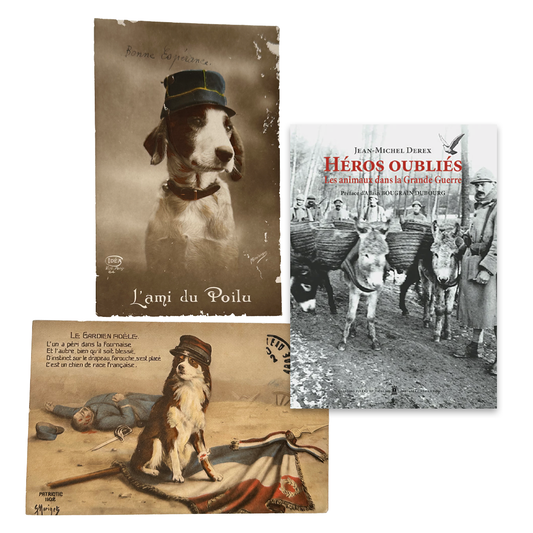 L'ami du Poilu & Héros oubliés - Les animaux dans la Grande Guerre