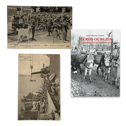Mascotte & Héros oubliés - Les animaux dans la Grande Guerre
