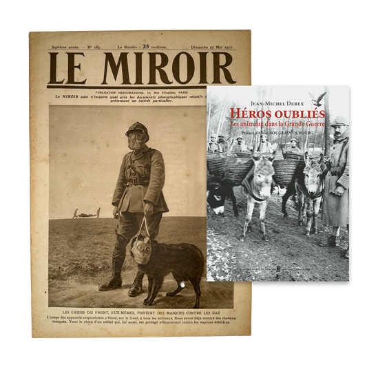 Le miroir & Héros oubliés - Les animaux dans la Grande Guerre