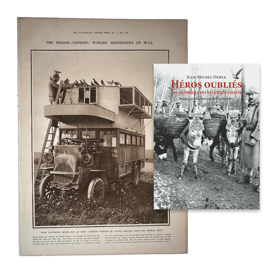 Pigeon Express & Héros oubliés - Les animaux dans la Grande Guerre