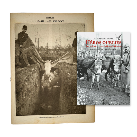 Illustration originale & Héros oubliés - Les animaux dans la Grande Guerre