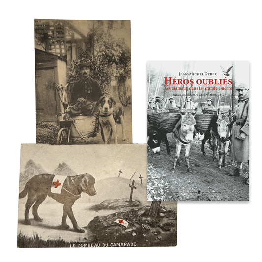 Le tombeau du camarade & Héros oubliés - Les animaux dans la Grande Guerre