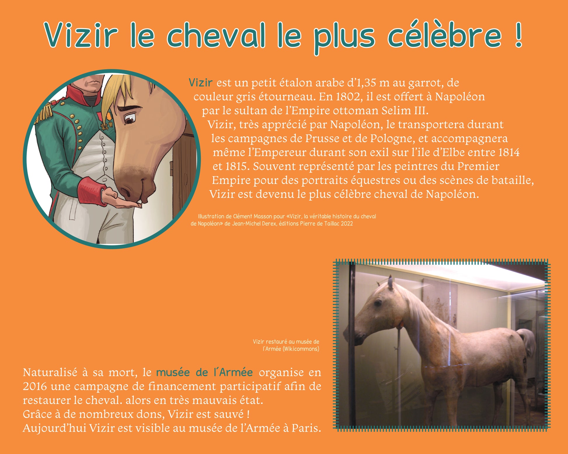 Cheval de Guerre - Exposition - Editions Pierre de Taillac