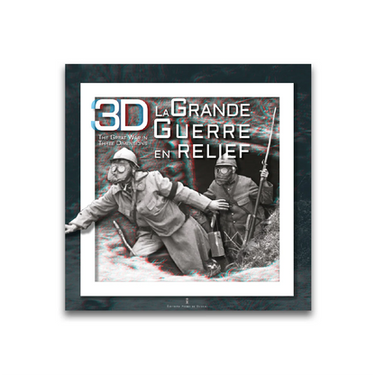 3D, la Grande Guerre en relief - Editions Pierre de Taillac