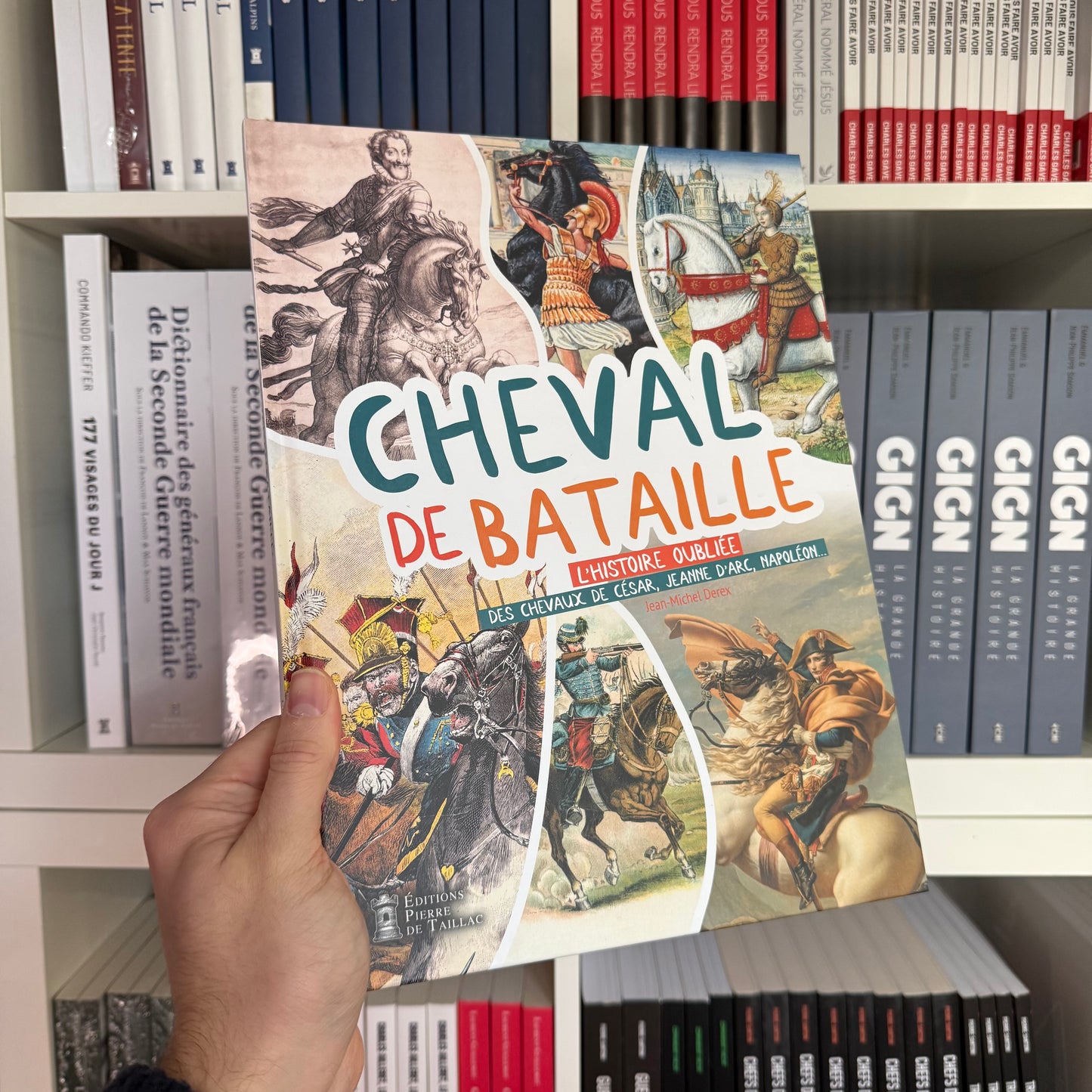 Cheval de bataille : L'histoire oubliée des chevaux !