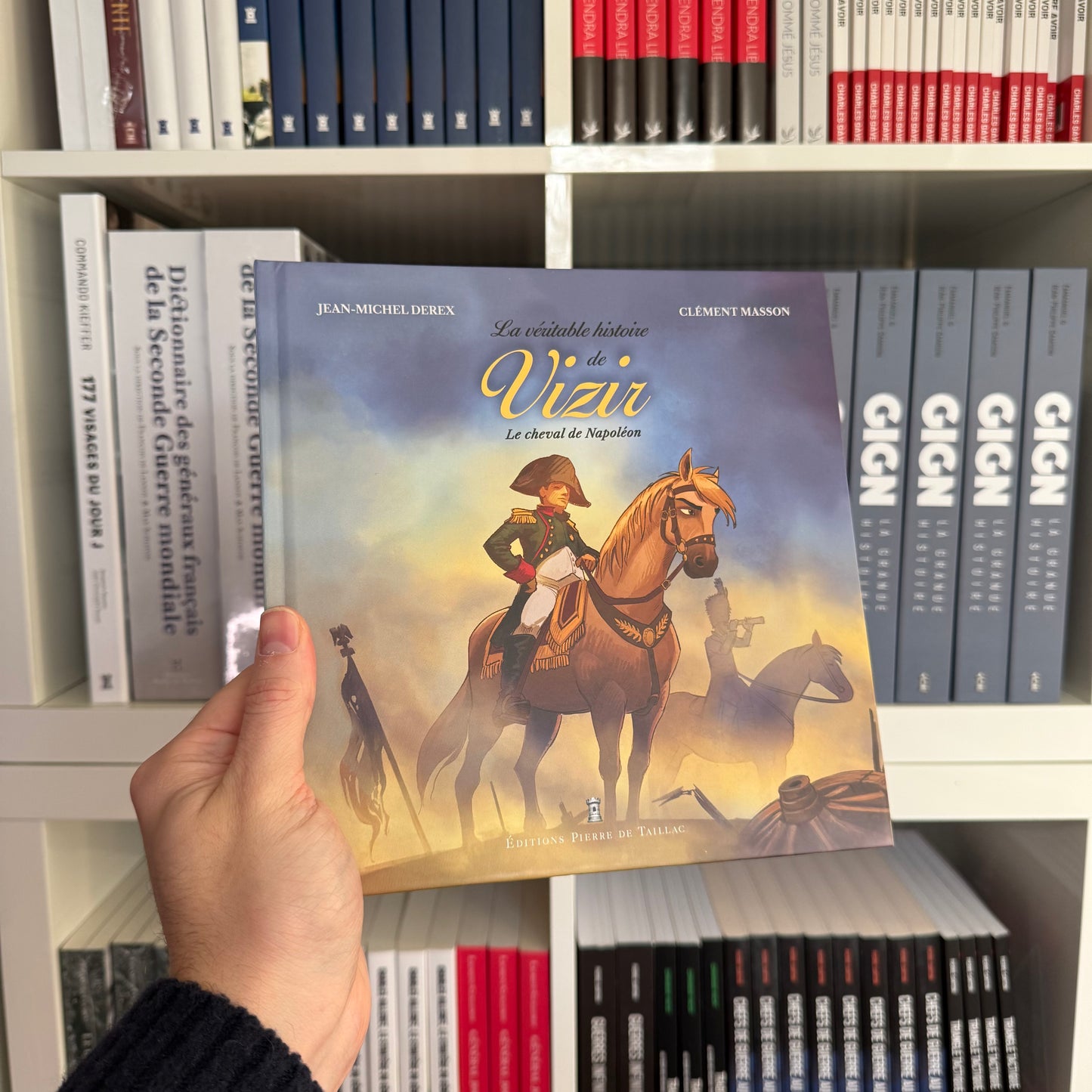 La véritable histoire de Vizir