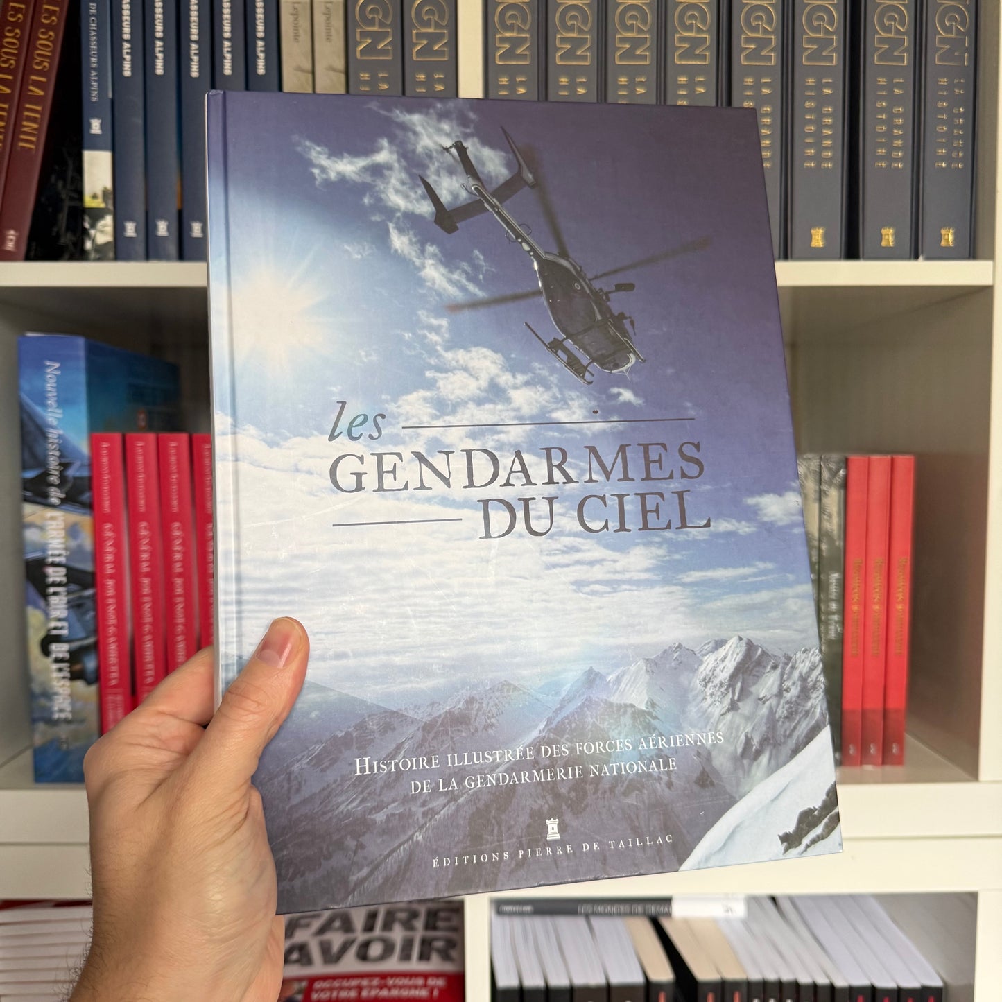 Les Gendarmes du ciel