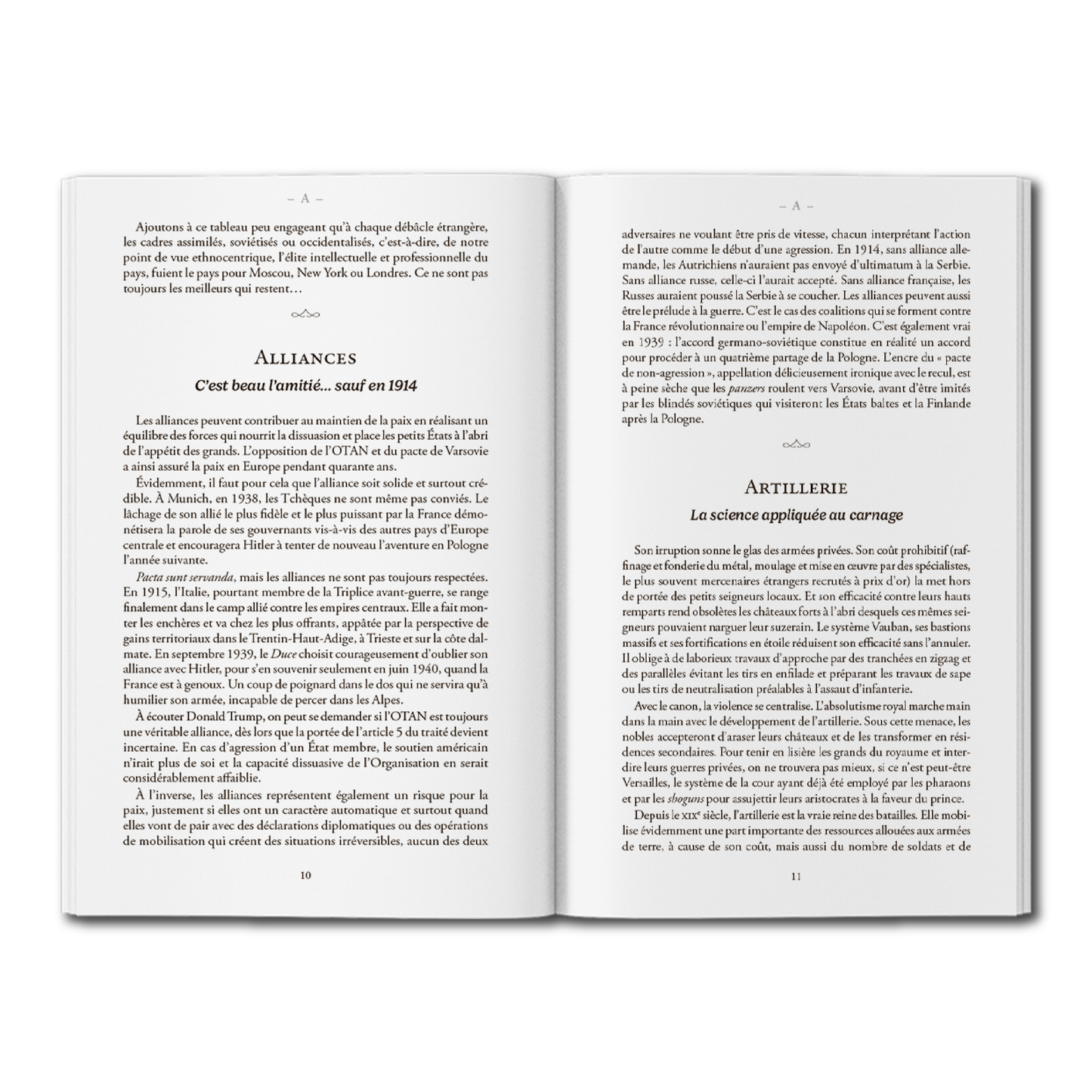 Dictionnaire impertinent de la guerre