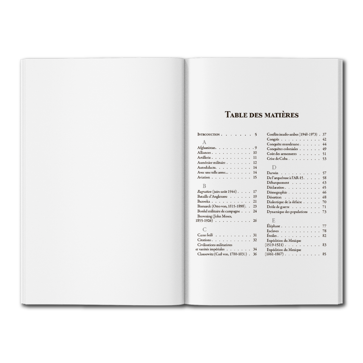 Dictionnaire impertinent de la guerre