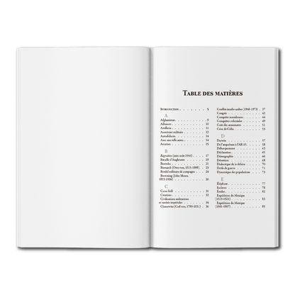 Dictionnaire impertinent de la guerre