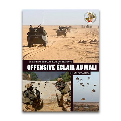 Offensive éclair au Mali