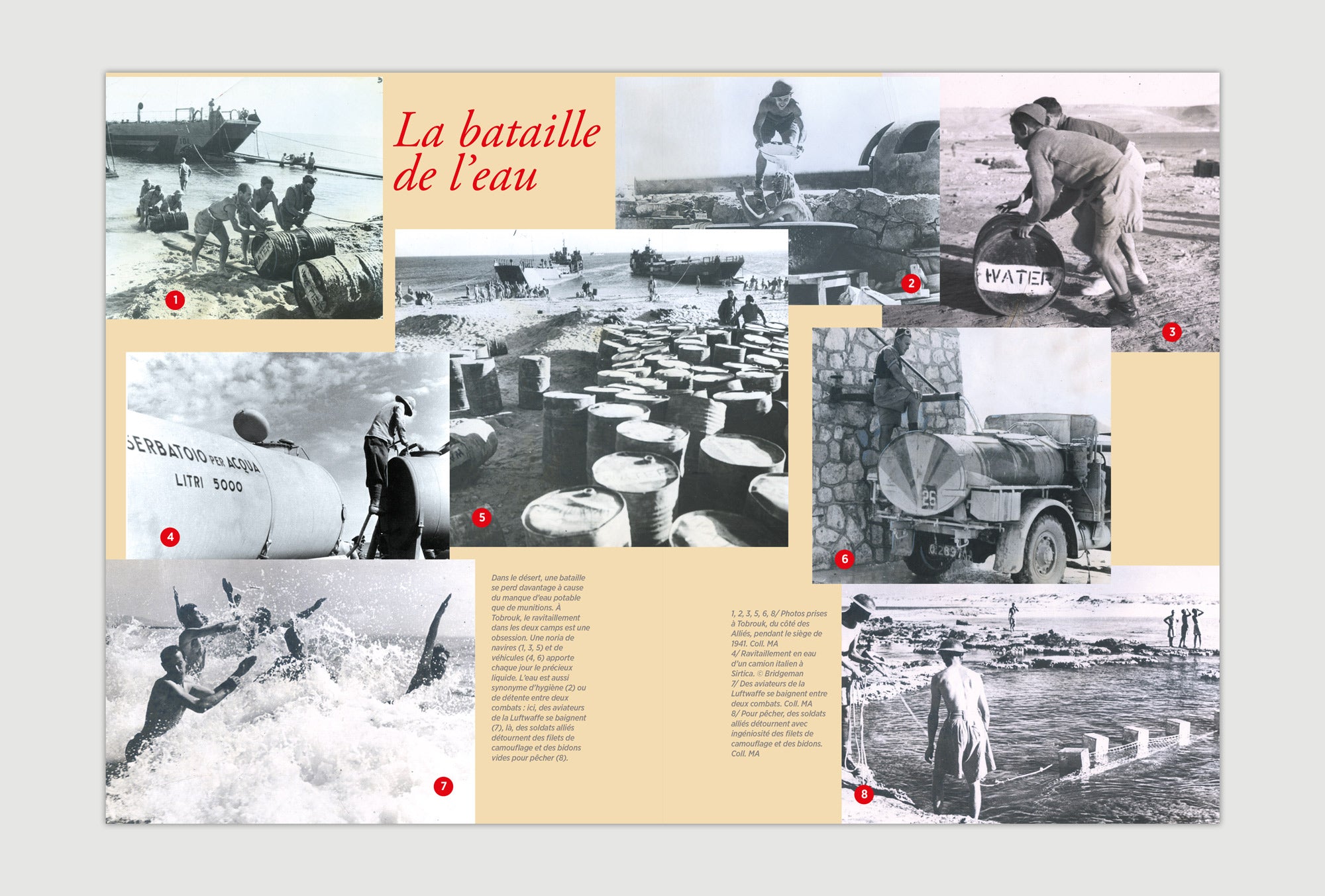 Les Ailes de la liberté – Editions Pierre de Taillac