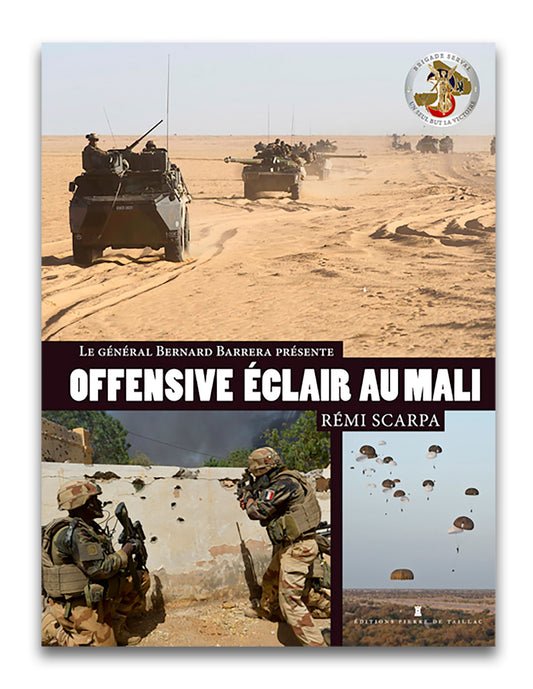 Offensive éclair au Mali